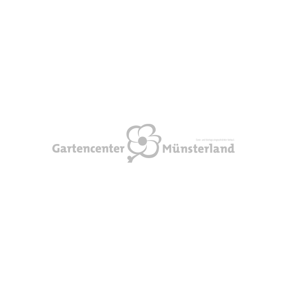 Gartencenter Logo Grau
